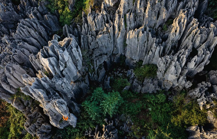 Stone Forest Park in Kunming of China