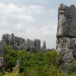 Stone Forest Park