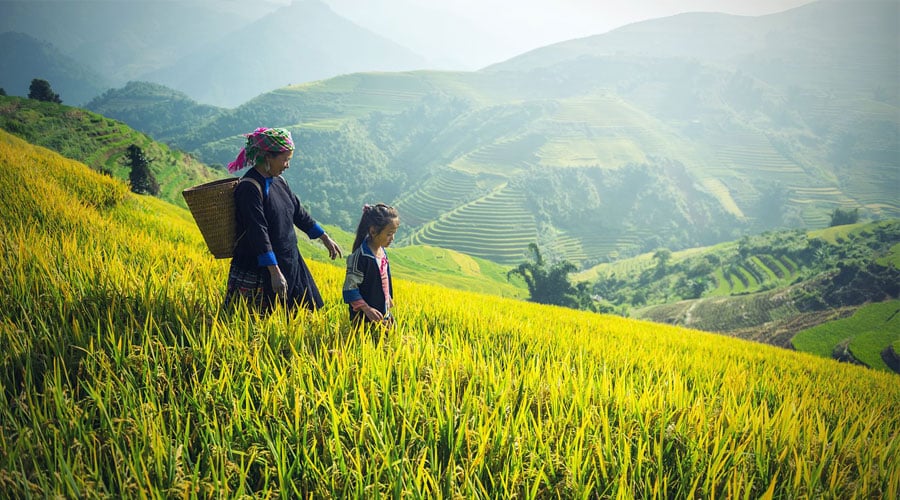 Lahu Village