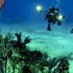 Amazing Scuba Diving