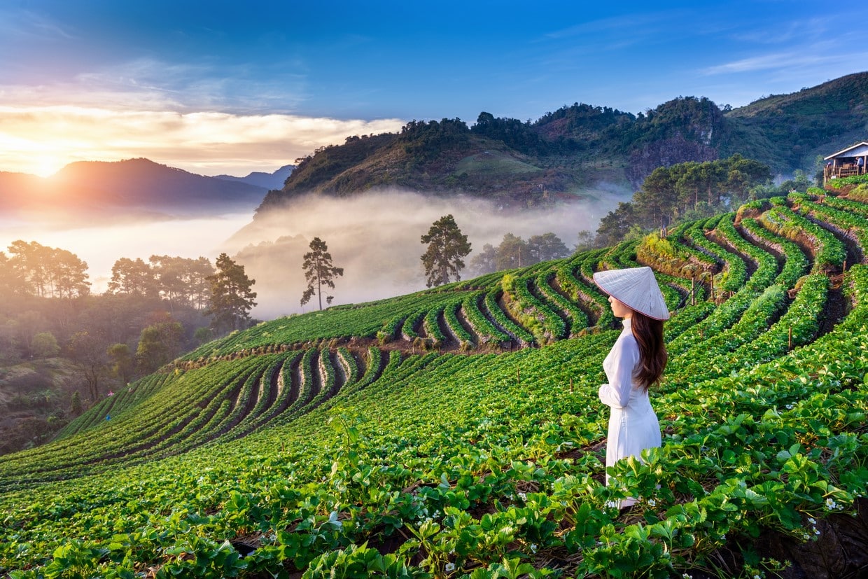 Chiang Mai #Northern Thailand Tour