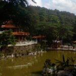 Fairylake Batonical Garden in Shenzhen