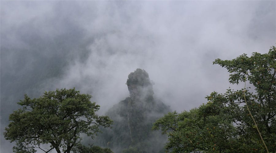 Zhangjiajie national forest park