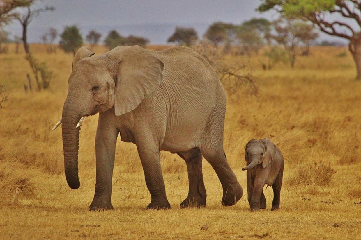 Serengeti National Park