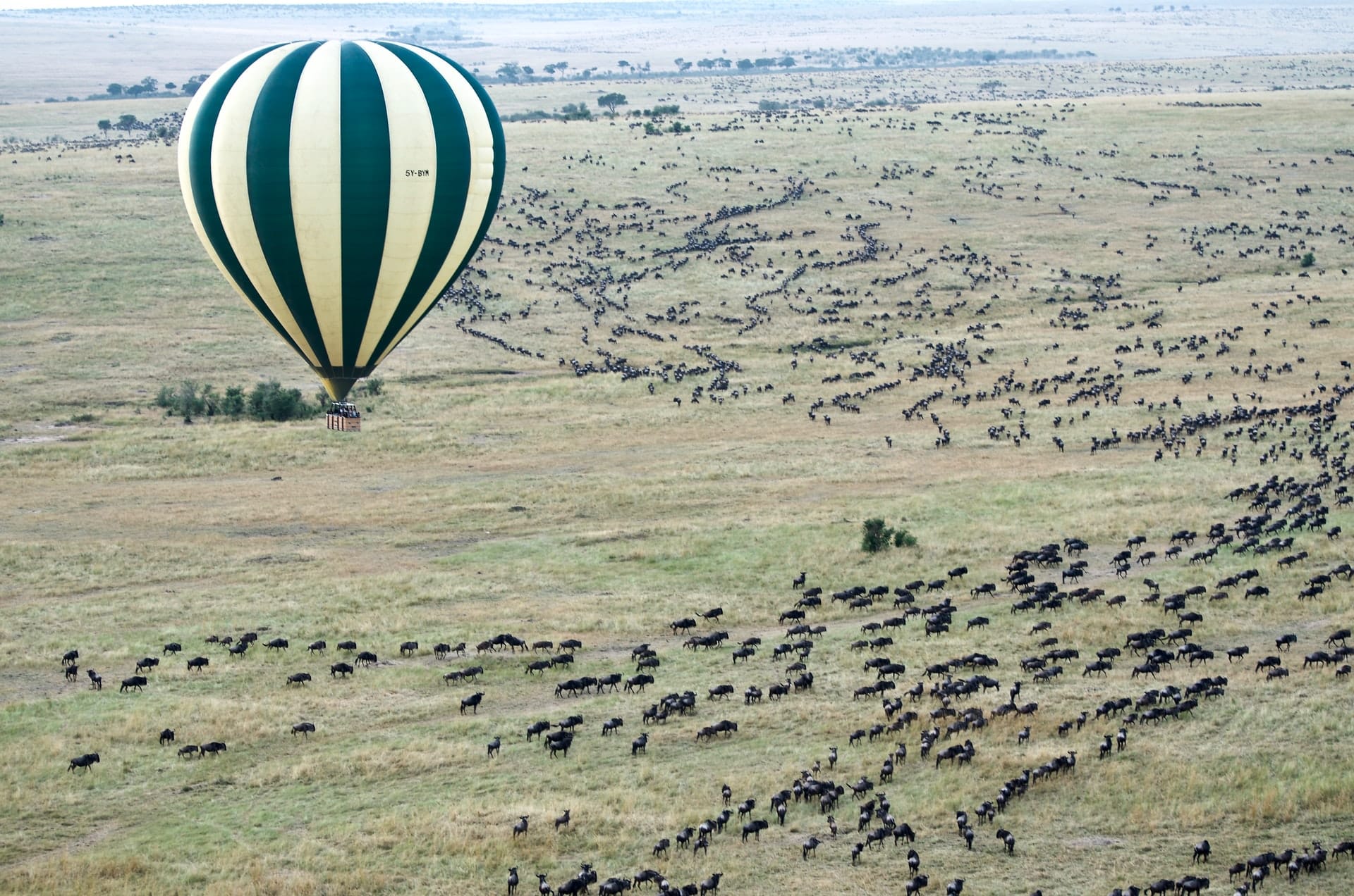 Masai Mara Reserve