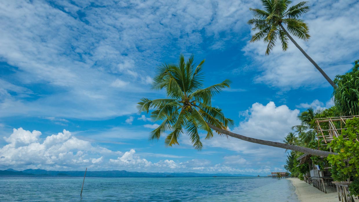 Raja Ampat