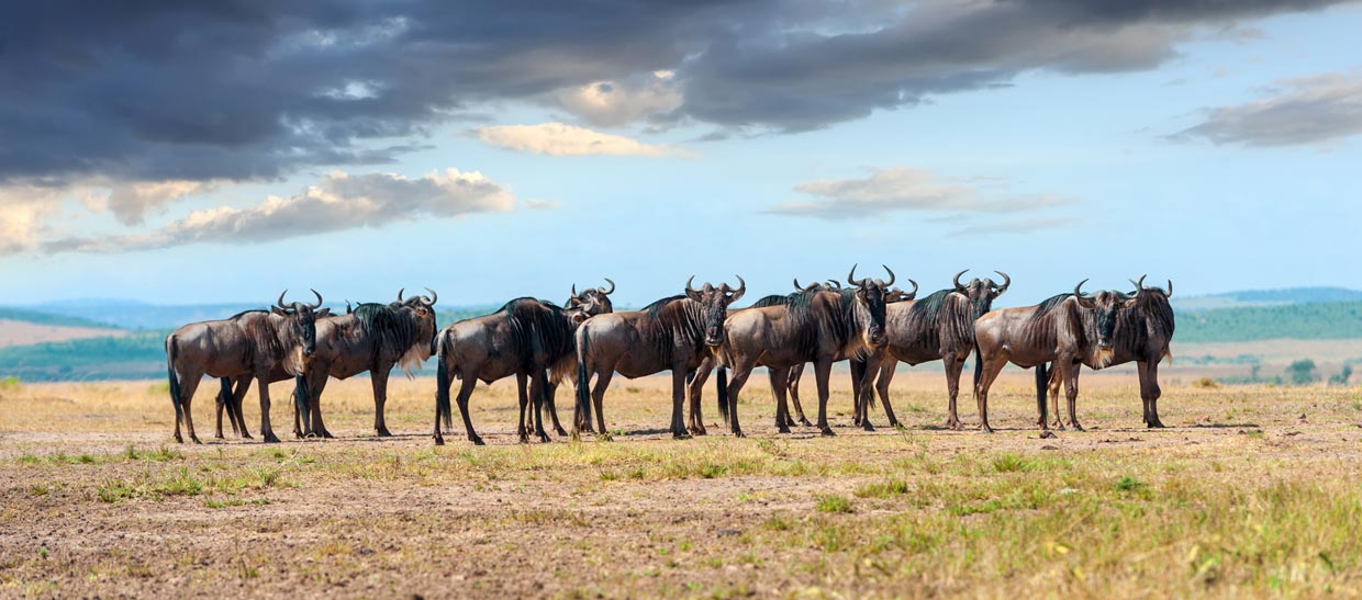 Tanzania