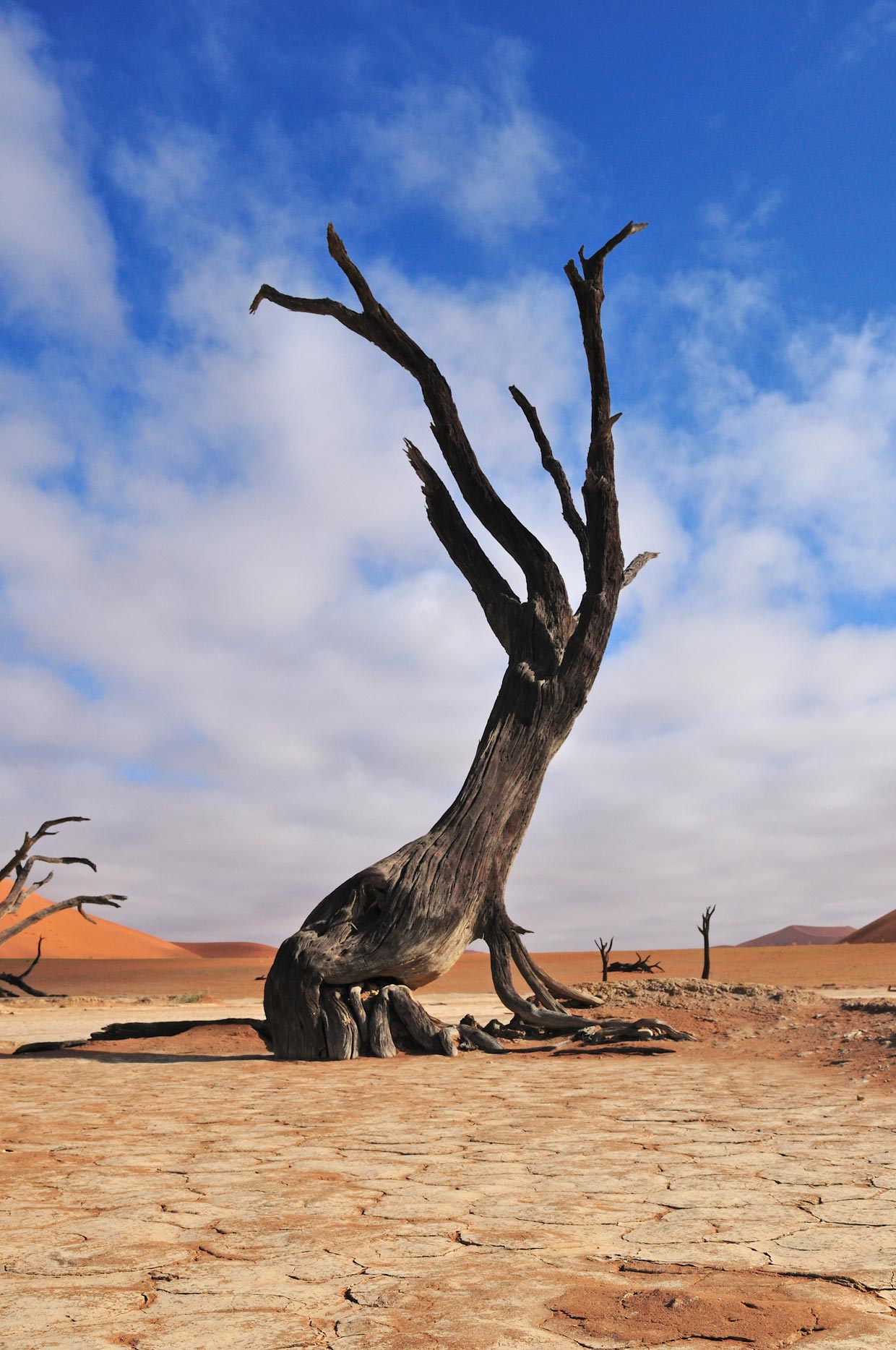 Sossusvlei in Namibia