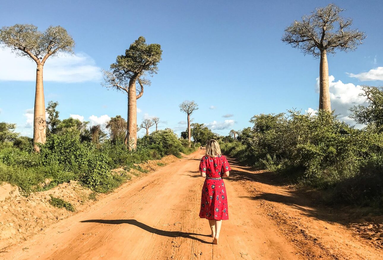 Baobabs avenue Madagascar