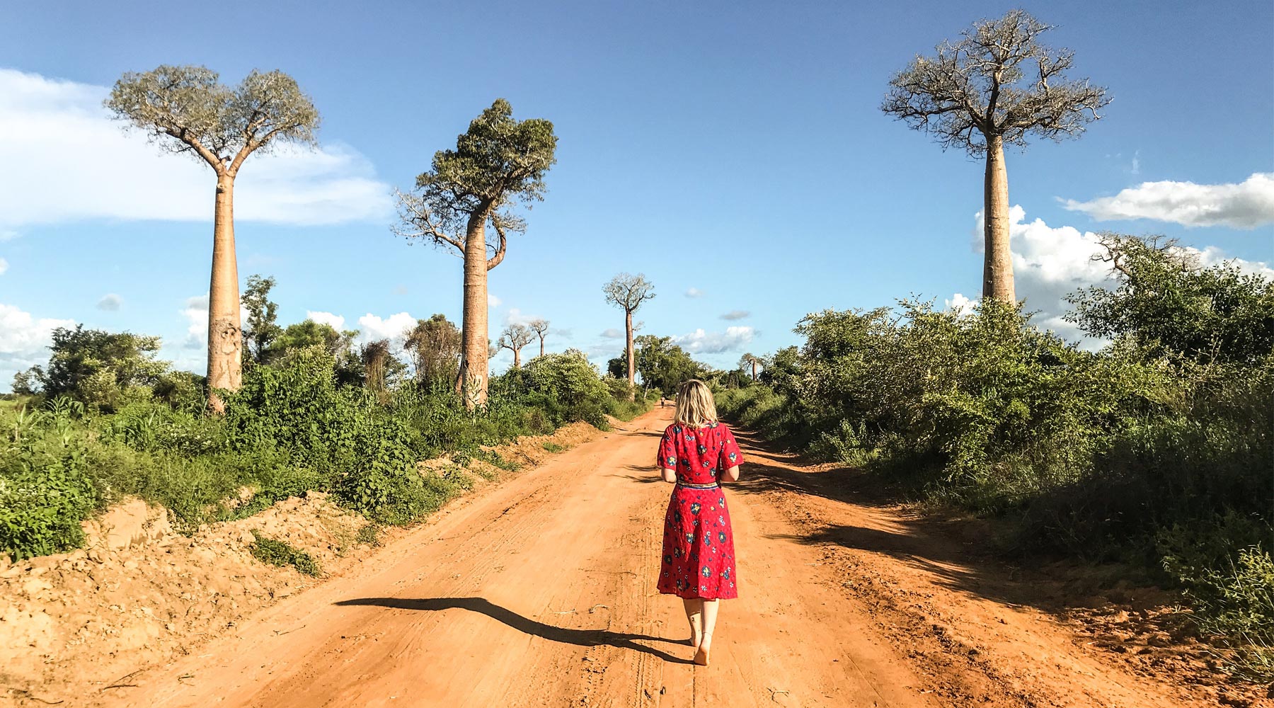 Baobabs avenue Madagascar