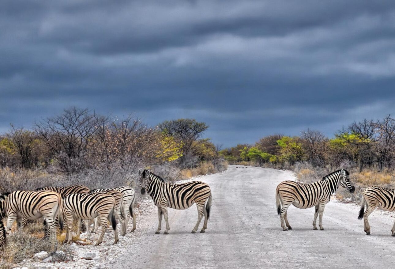 Etosha National Park