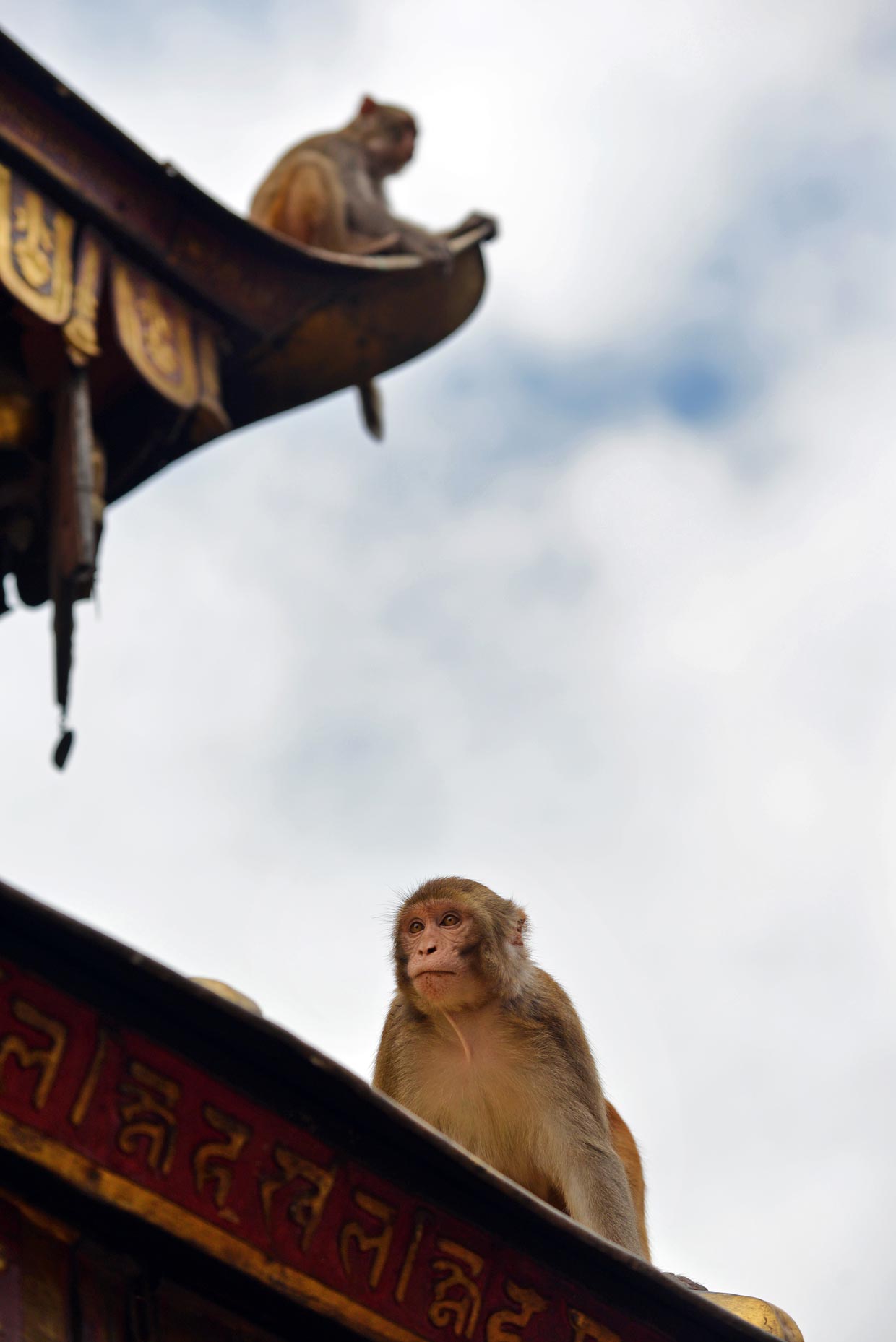 Swayambhunath