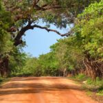 Yala National Park