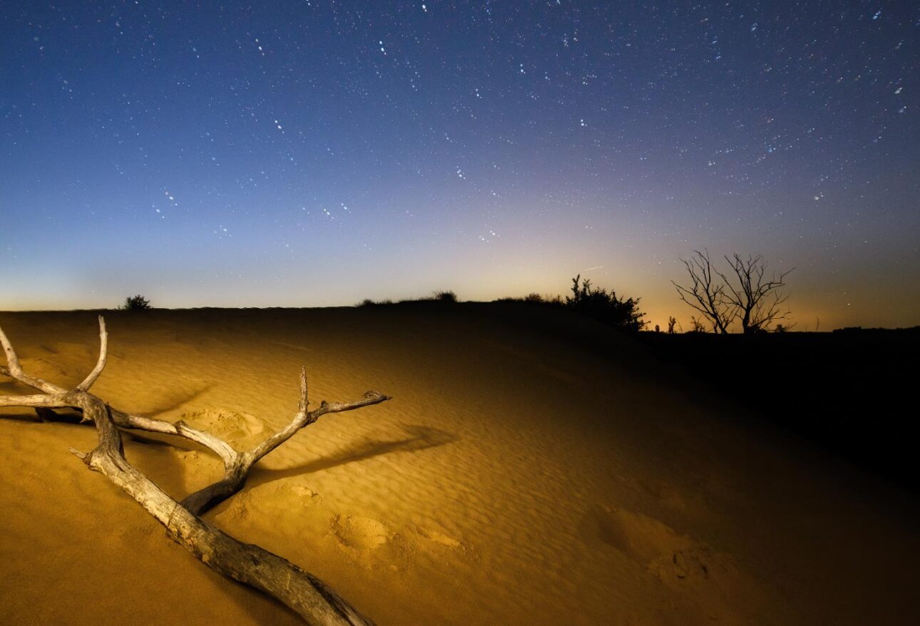 Namib Desert