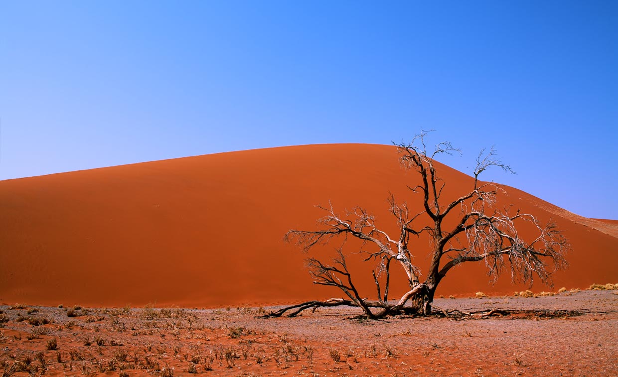 Namib Desert