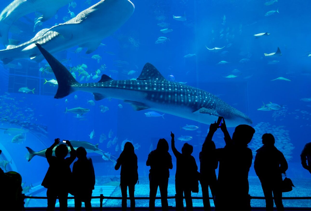 Istanbul Aquarium