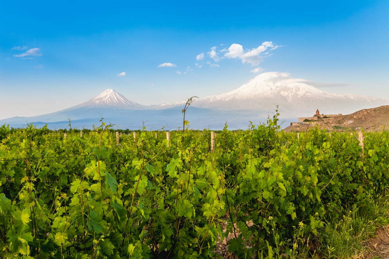 Mount Ararat