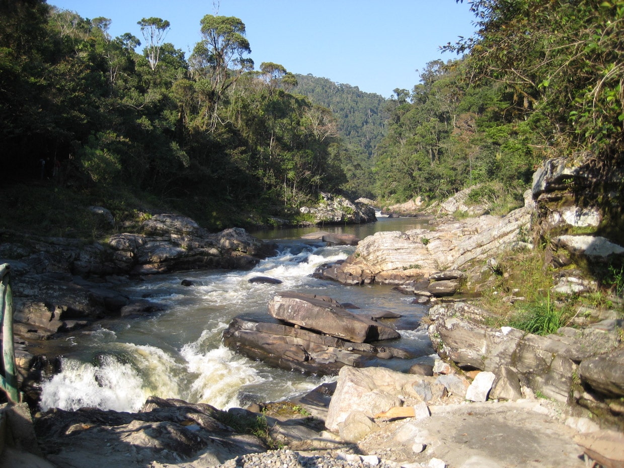 Ranomafana National Park