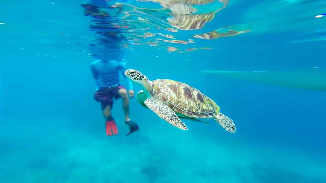 Similan Islands Diving