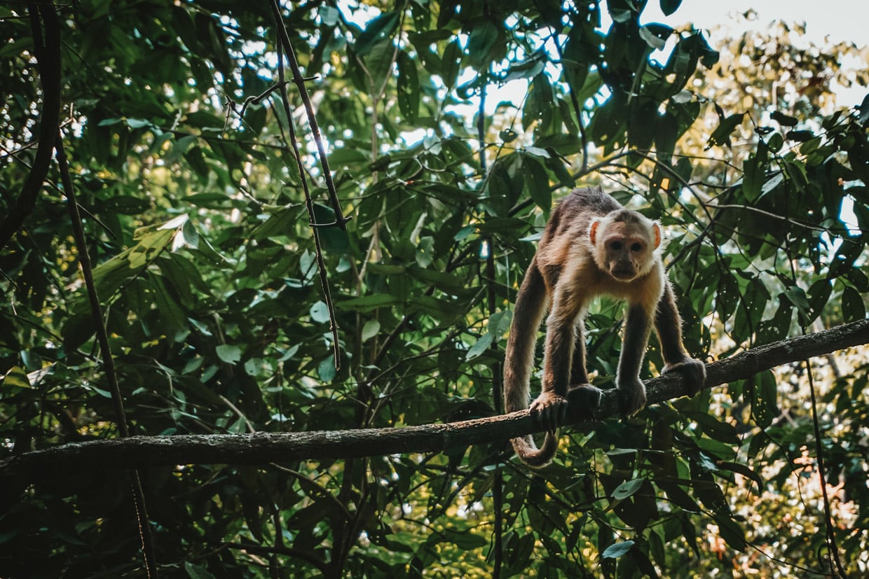 Tayrona National Park