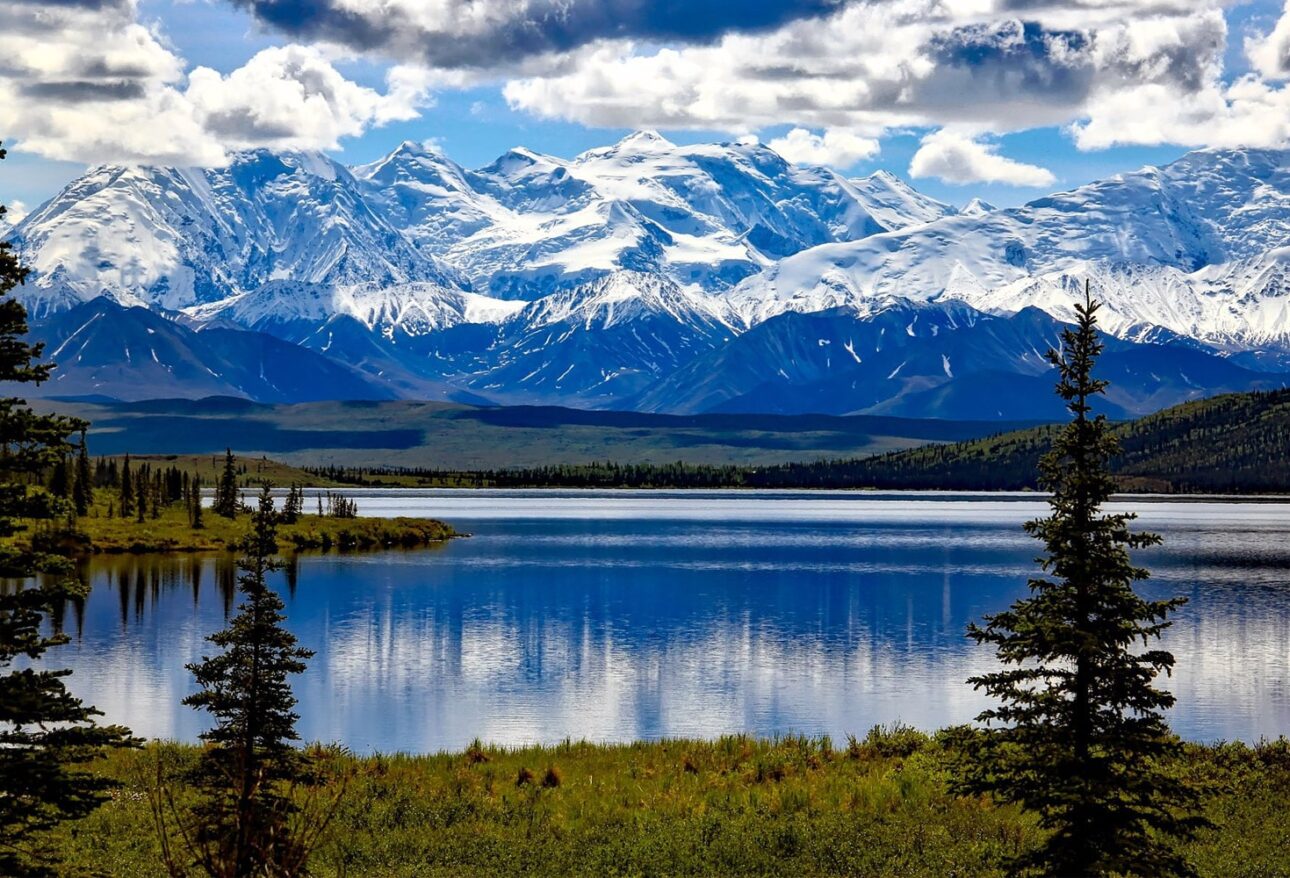 Denali National Park