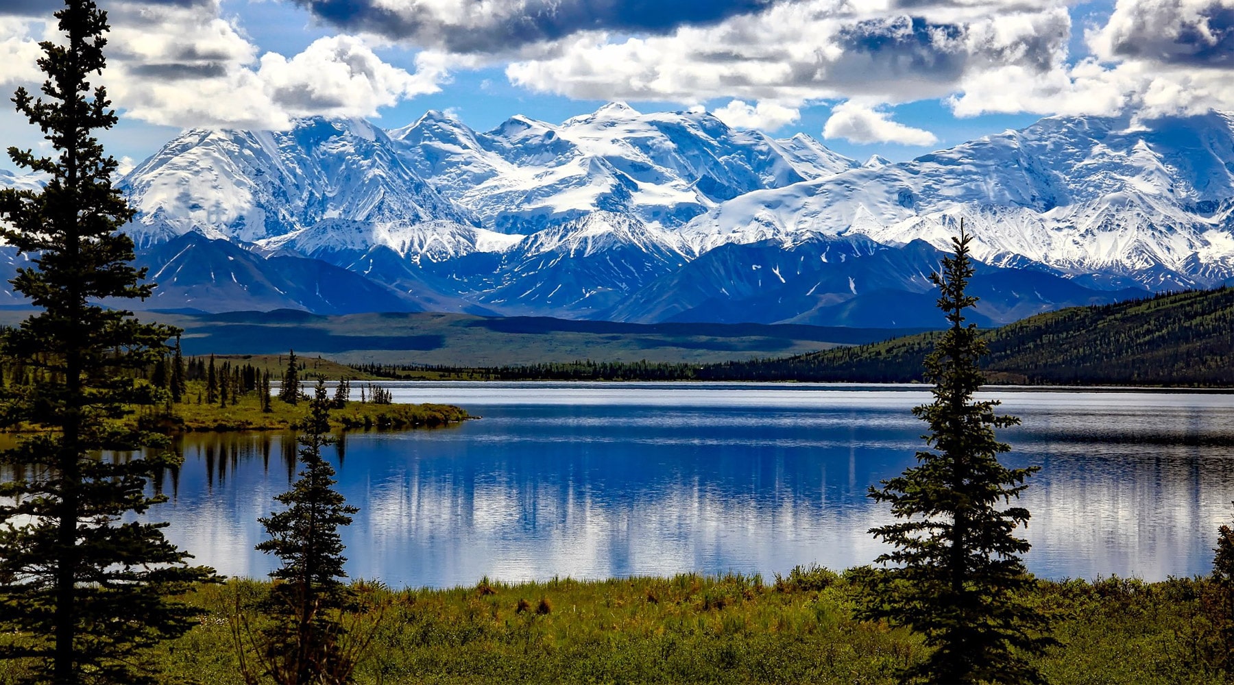 Denali National Park