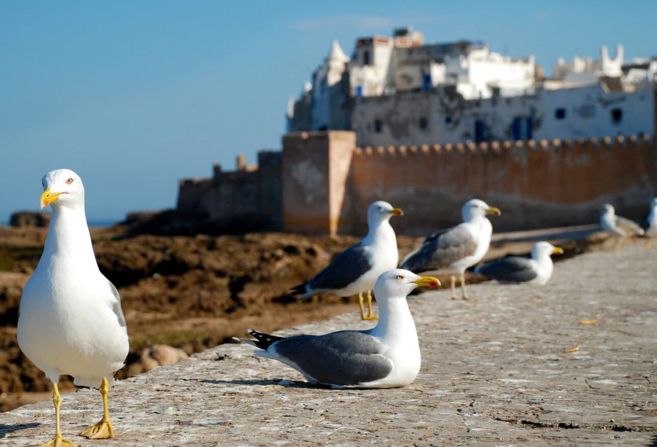 Essaouira