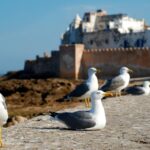 Essaouira