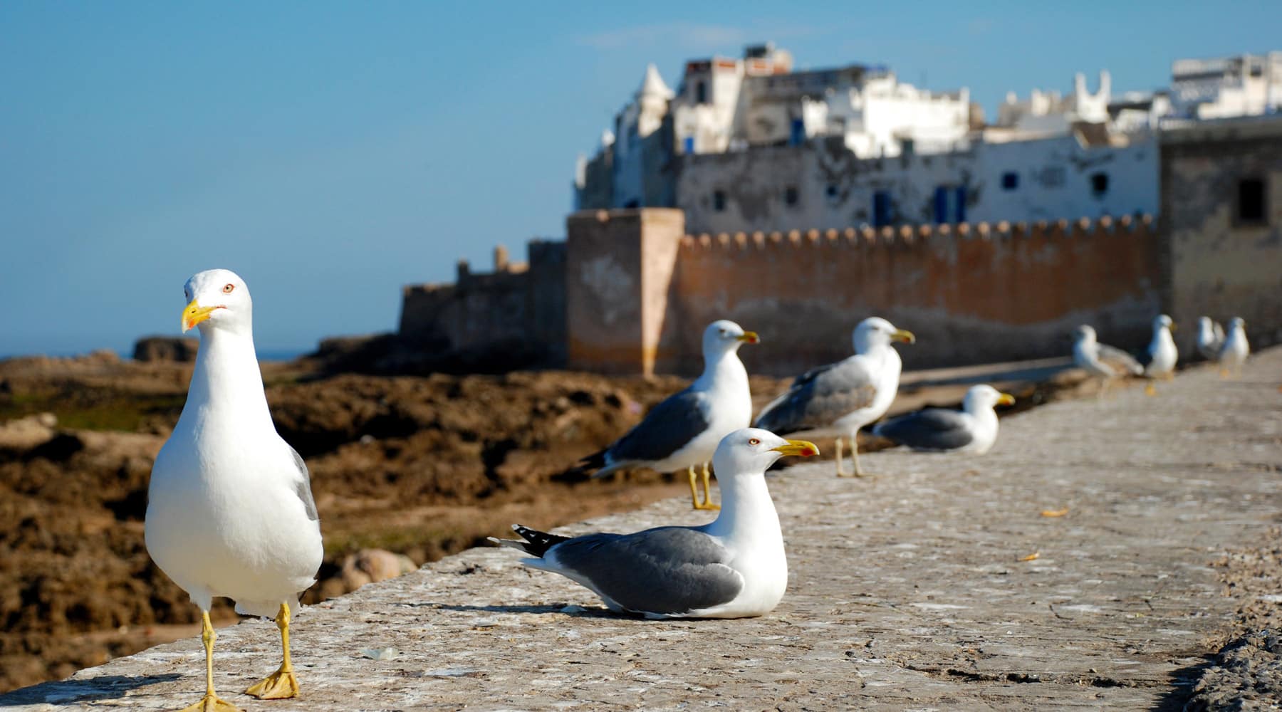 Essaouira