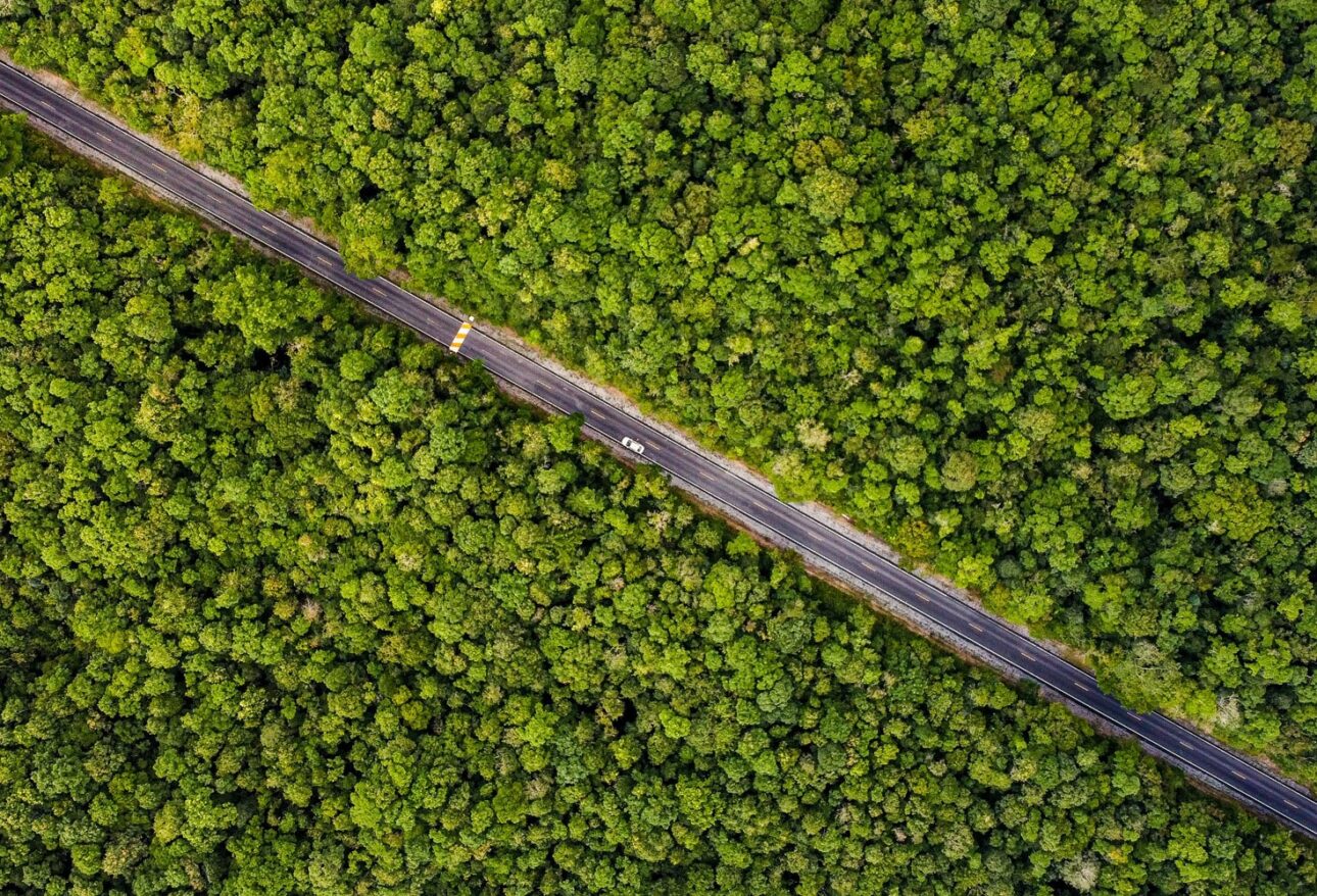 Khao Yai National Park