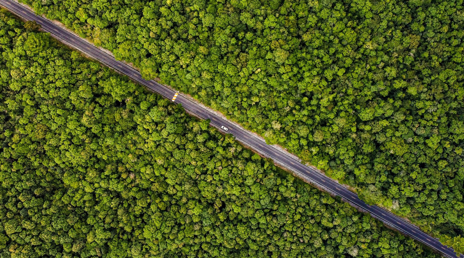 Khao Yai National Park