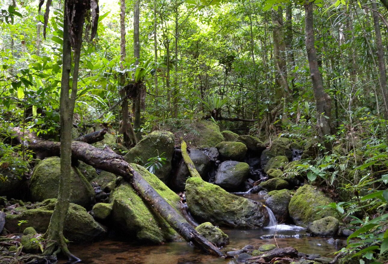 Masoala National Park