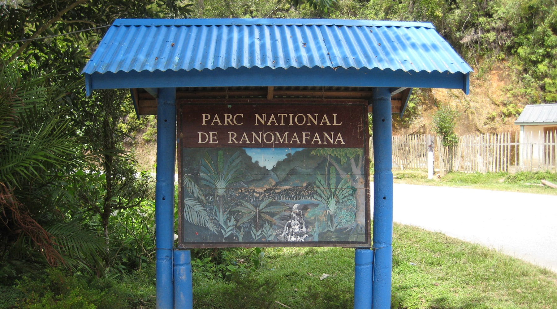 Ranomafana National Park