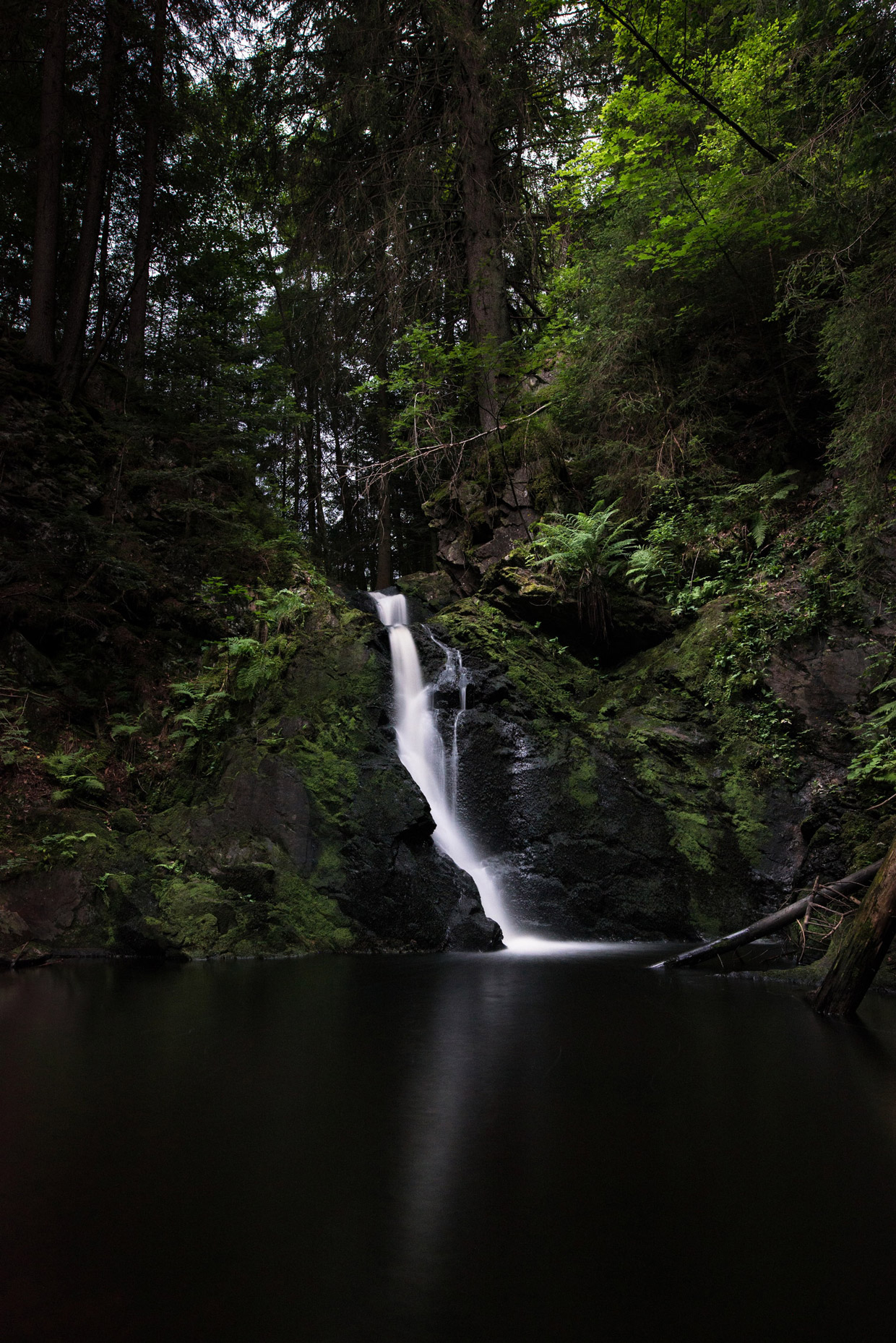 Falls in the Black Forest